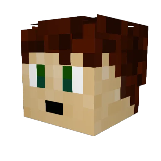 T_A_L_ Minecraft avatar head, 3D render