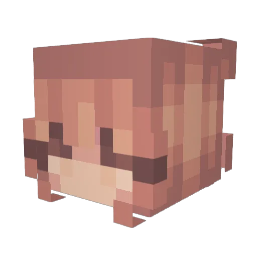 T_A_M Minecraft avatar head, 3D render