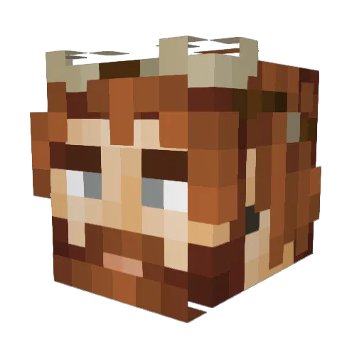 T_Blaze_B Minecraft avatar head, 3D render