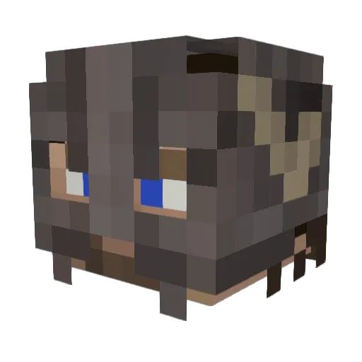 T_DOGG57 Minecraft avatar head, 3D render