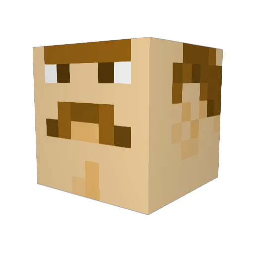 T_E_X_A_S Minecraft avatar head, 3D render