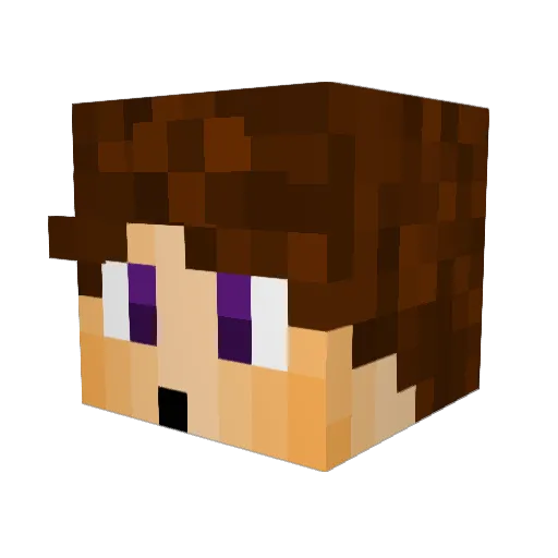 T_FR Minecraft avatar head, 3D render