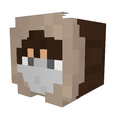 T_Forbseyyy Minecraft avatar head, 3D render