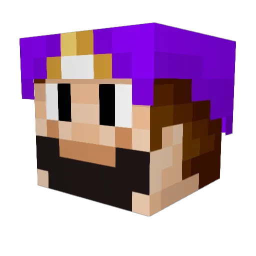 T_Foxx Minecraft avatar head, 3D render