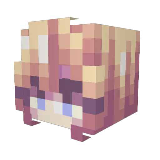 T_G_W Minecraft avatar head, 3D render