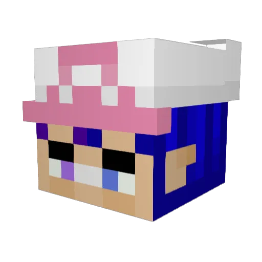 T_Jax Minecraft avatar head, 3D render