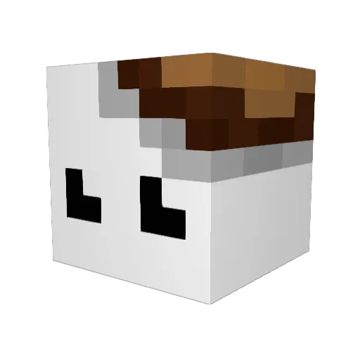 T_Kinder Minecraft avatar head, 3D render