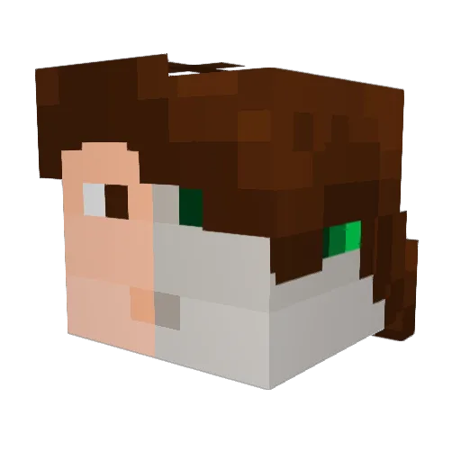 T_Minus_50 Minecraft avatar head, 3D render