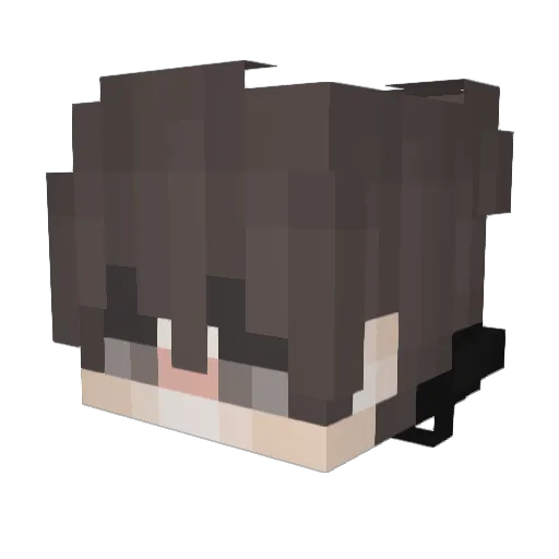 T_N_O Minecraft avatar head, 3D render