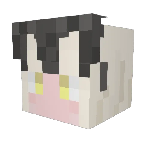 T_OCEAN Minecraft avatar head, 3D render