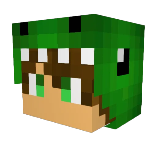 T_RECKED Minecraft avatar head, 3D render