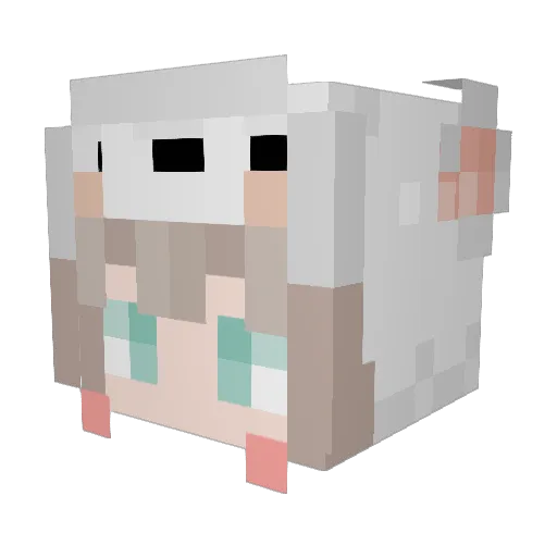 T_Rixx Minecraft avatar head, 3D render