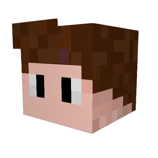 T_Ronix Minecraft avatar head, 3D render