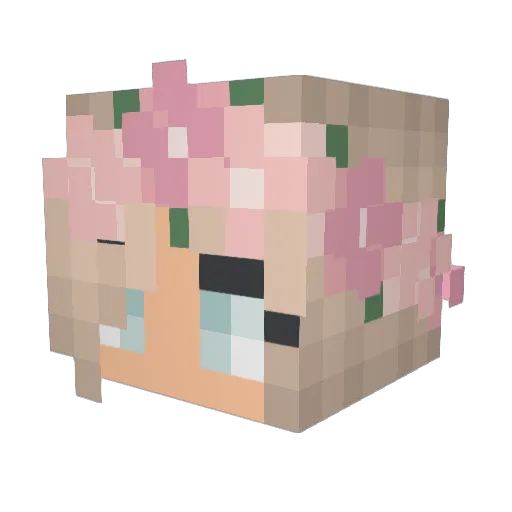 T_Sylvia_T Minecraft avatar head, 3D render