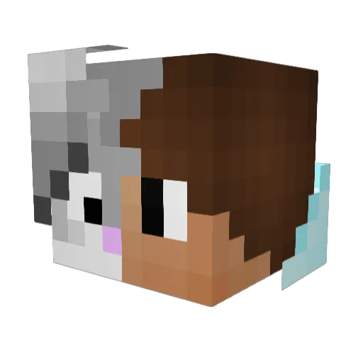 T_The_One Minecraft avatar head, 3D render