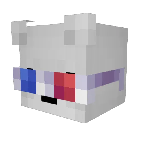 T_U_P_A_C Minecraft avatar head, 3D render