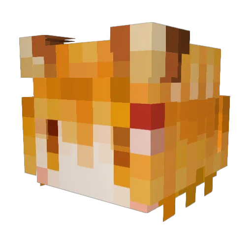 T_hesd Minecraft avatar head, 3D render