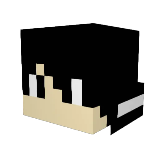 TaBuckets Minecraft avatar head, 3D render