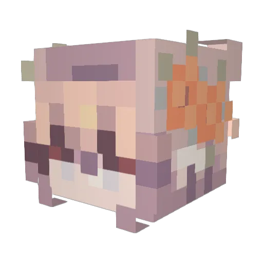 TaCoS4Da_horses Minecraft avatar head, 3D render