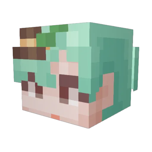 TaEWoo03 Minecraft avatar head, 3D render