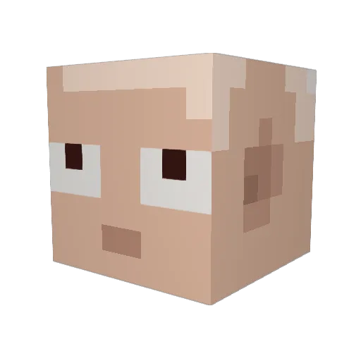 TaMaGe69 Minecraft avatar head, 3D render