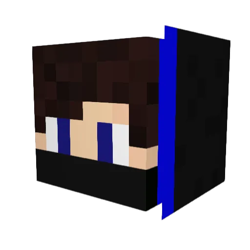 TaRuN_0P Minecraft avatar head, 3D render