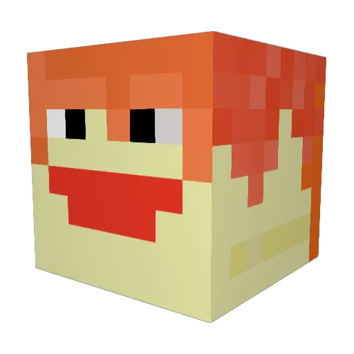 TaScHeNrEcHnEr_ Minecraft avatar head, 3D render