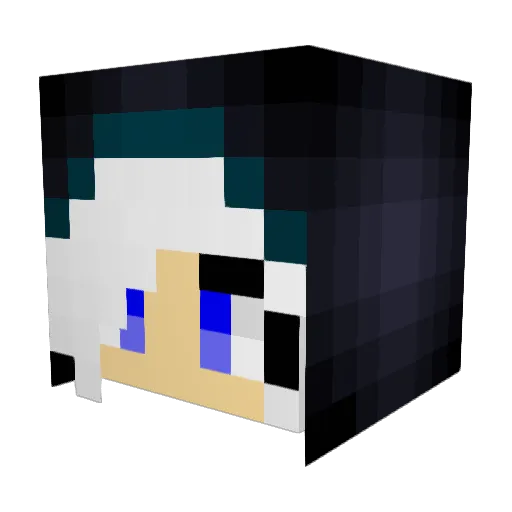 TaTaBoxx Minecraft avatar head, 3D render
