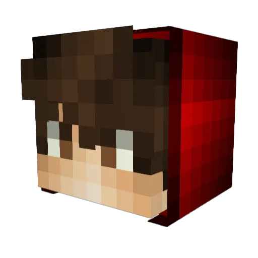 TaTy56 Minecraft avatar head, 3D render