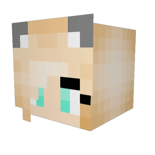 TaZe314 Minecraft avatar head, 3D render