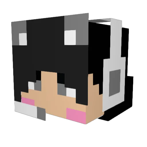 TaaaaaaKi Minecraft avatar head, 3D render