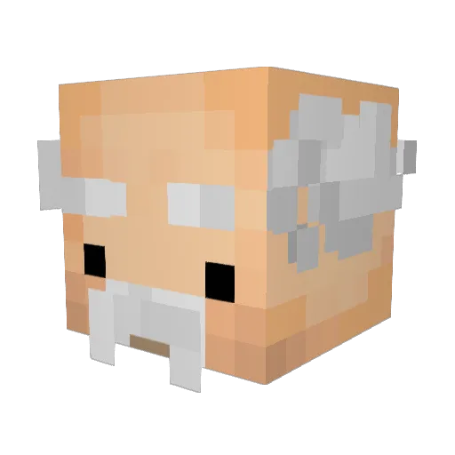 Taaisy Minecraft avatar head, 3D render
