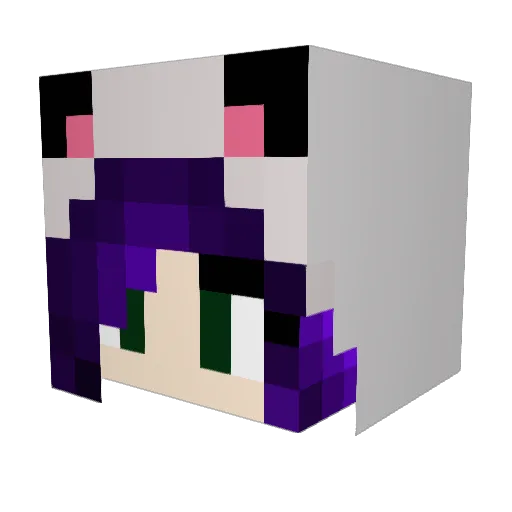 Taako22 Minecraft avatar head, 3D render