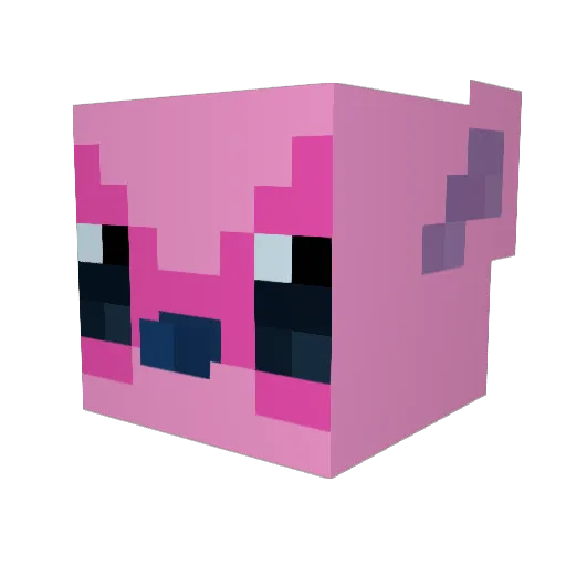 Taartje9 Minecraft avatar head, 3D render