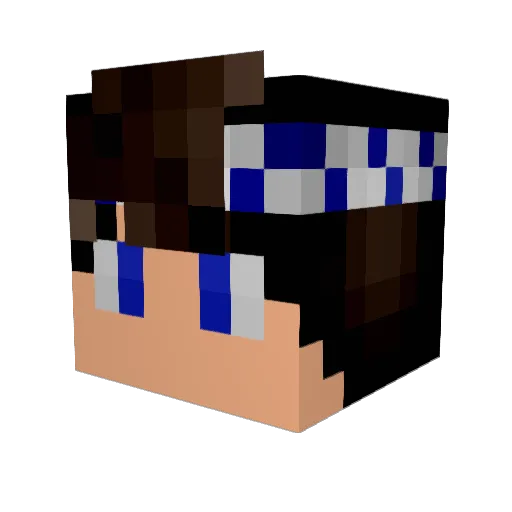 TaayleYT Minecraft avatar head, 3D render