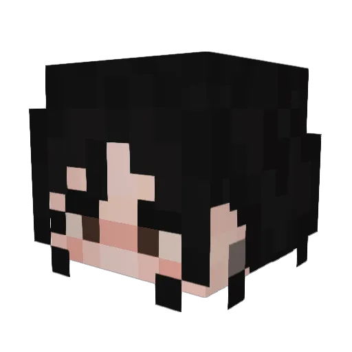 Tabacelus Minecraft avatar head, 3D render