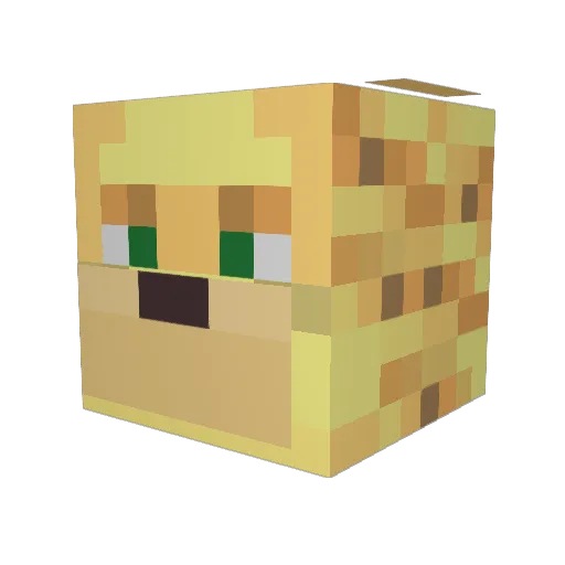 TabbyCat348 Minecraft avatar head, 3D render