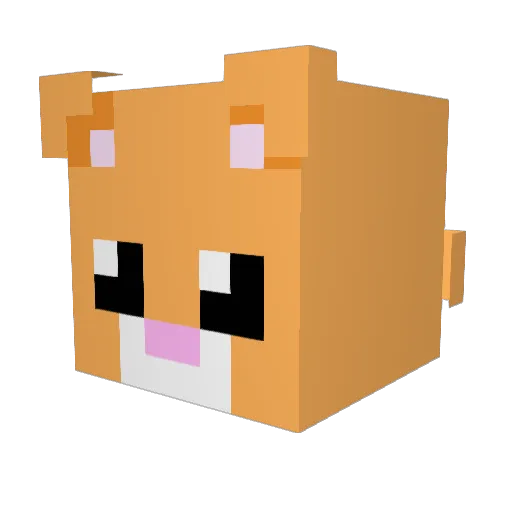 TabbyFinn Minecraft avatar head, 3D render