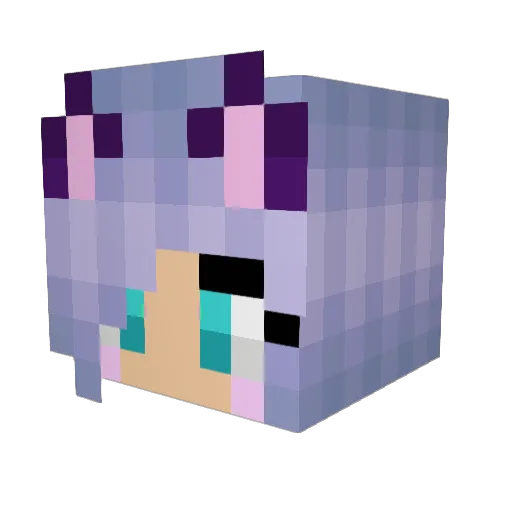 Tabby_Toes Minecraft avatar head, 3D render