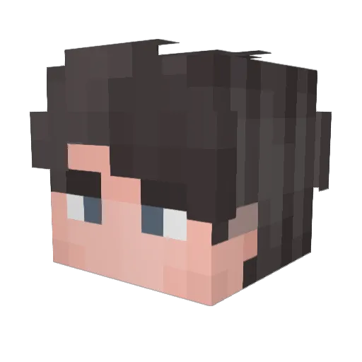 Tabbyploert Minecraft avatar head, 3D render