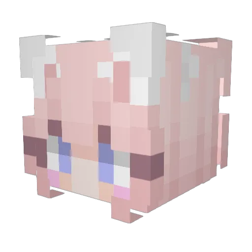 Tabbyy06 Minecraft avatar head, 3D render