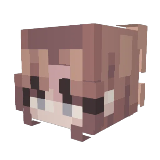 TabeSoul Minecraft avatar head, 3D render