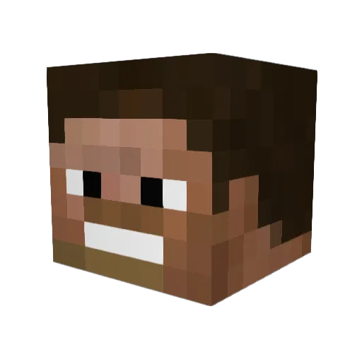 Tabellenbuch44 Minecraft avatar head, 3D render