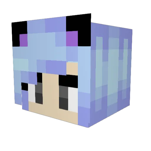 TabiCat13 Minecraft avatar head, 3D render