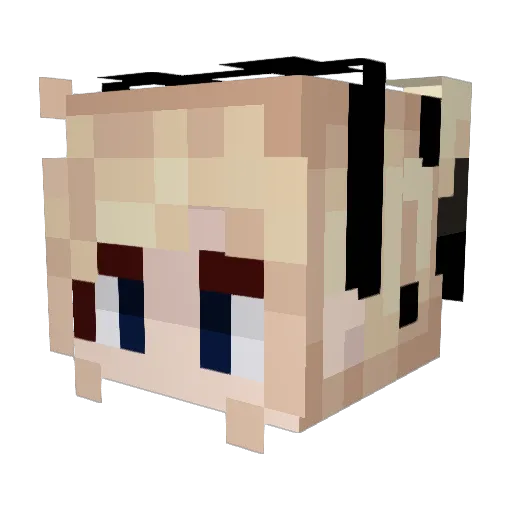 Tabicat0723 Minecraft avatar head, 3D render
