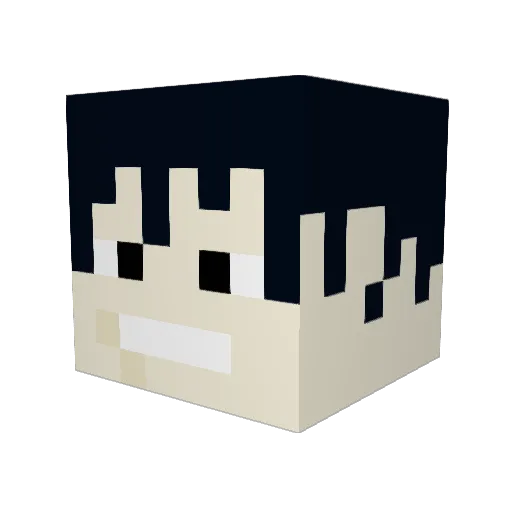 Table12_ Minecraft avatar head, 3D render
