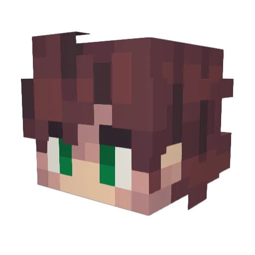 TableFlip345 Minecraft avatar head, 3D render