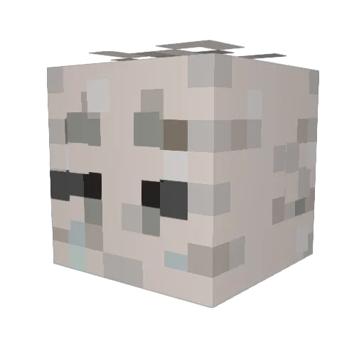 Taboire_ Minecraft avatar head, 3D render