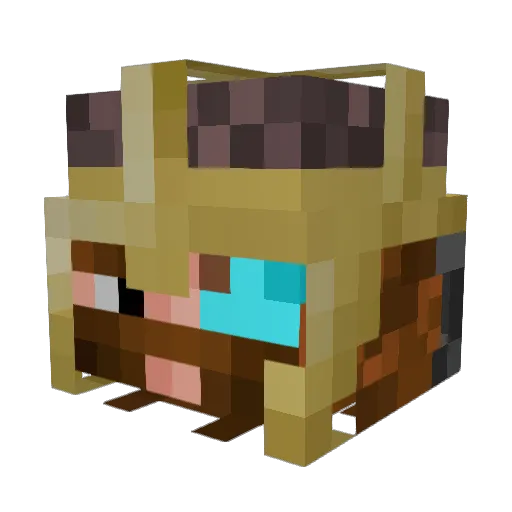 Taboovnjh Minecraft avatar head, 3D render