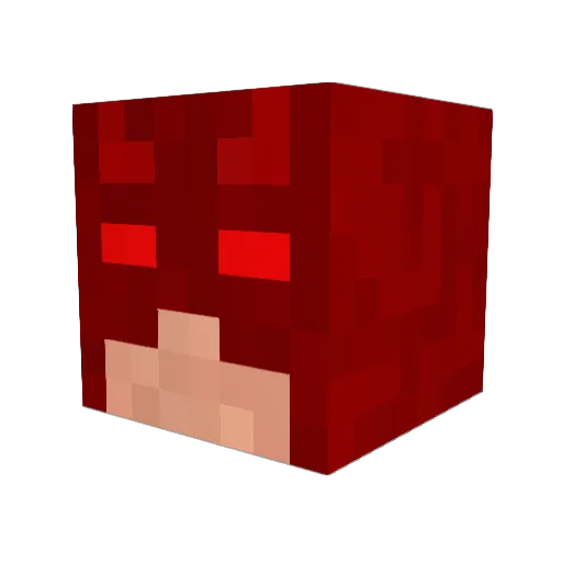 TabulateNewt8 Minecraft avatar head, 3D render